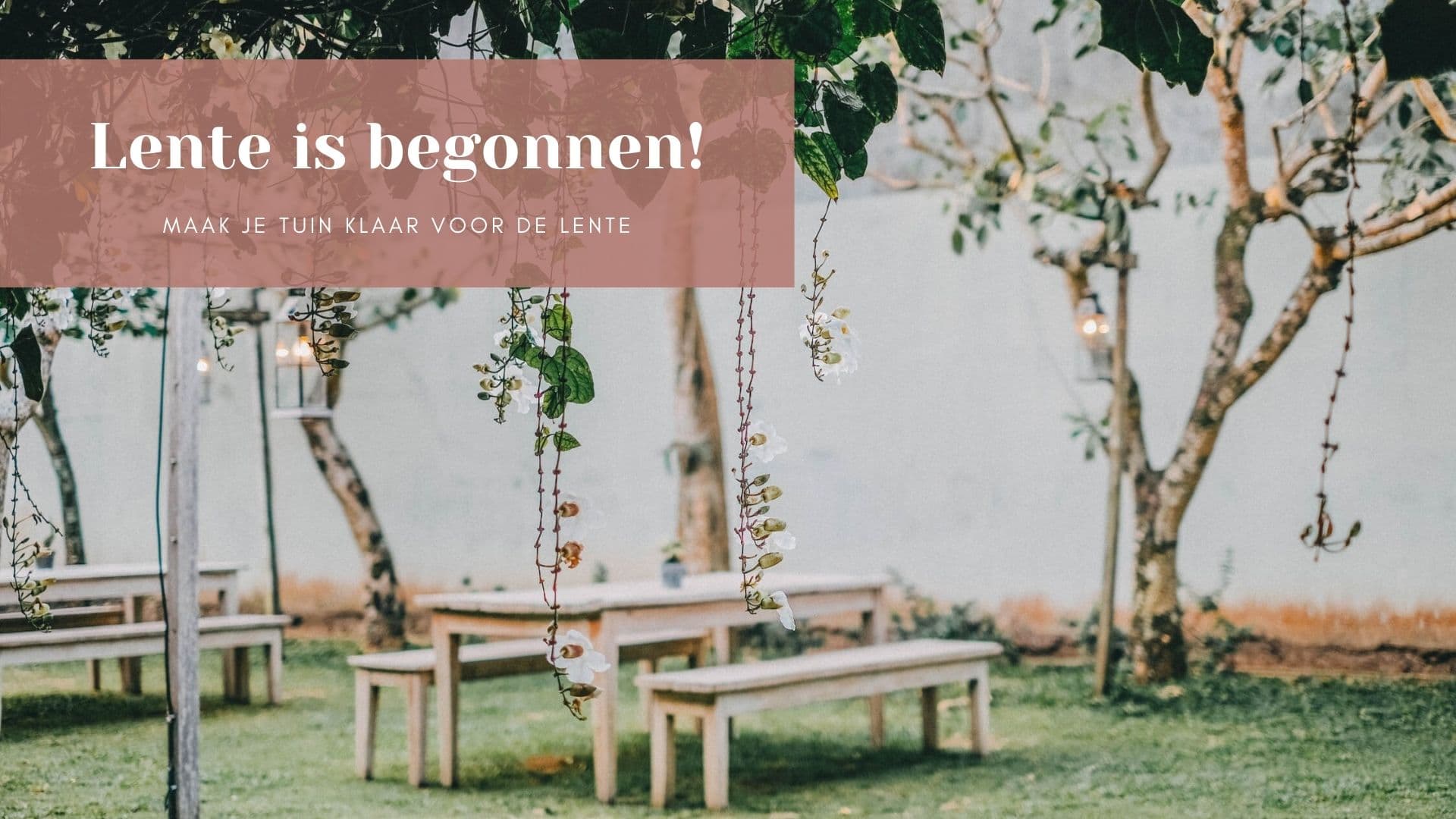 De lente is begonnen!