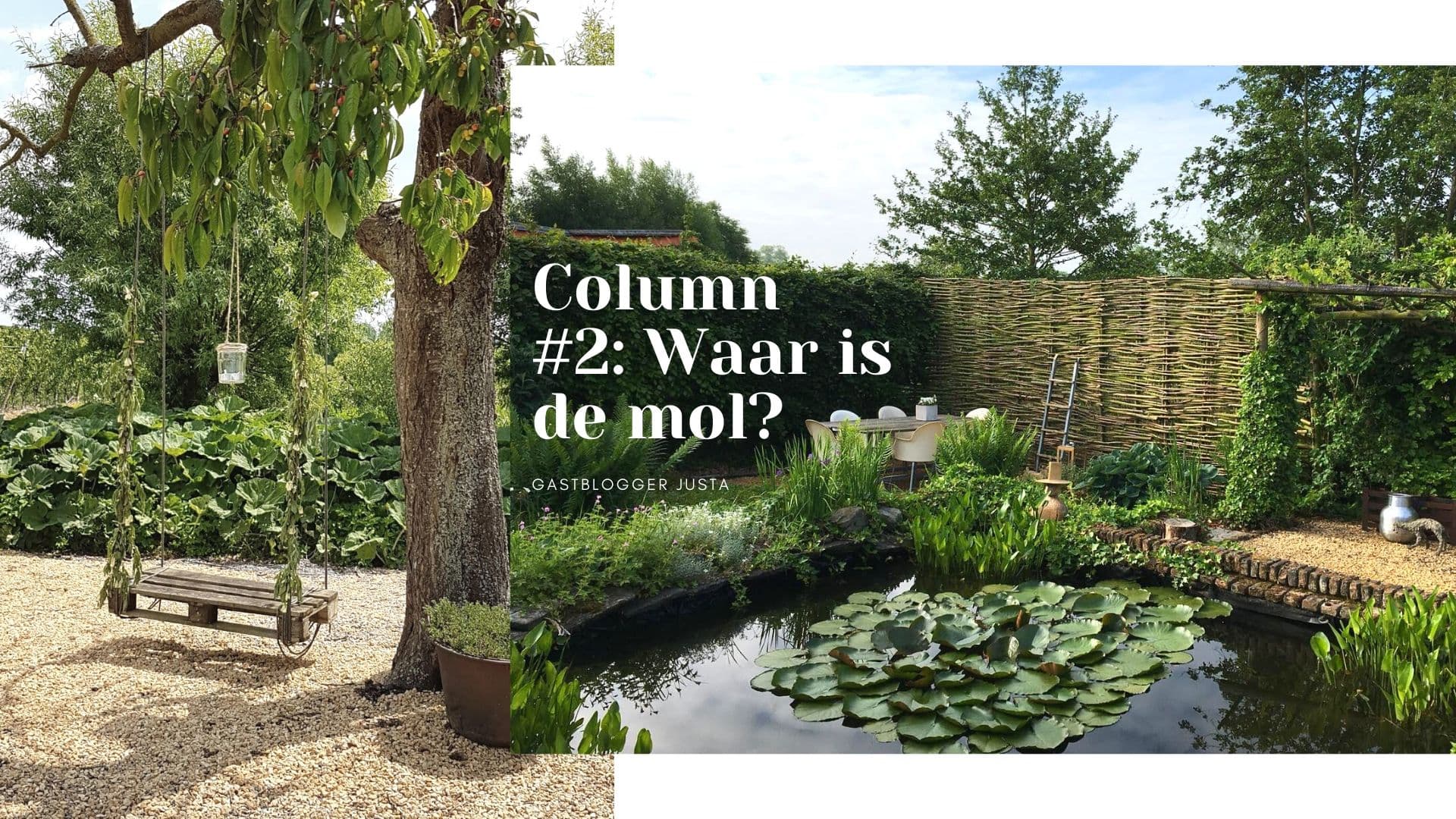 Column #2: Waar is de mol?