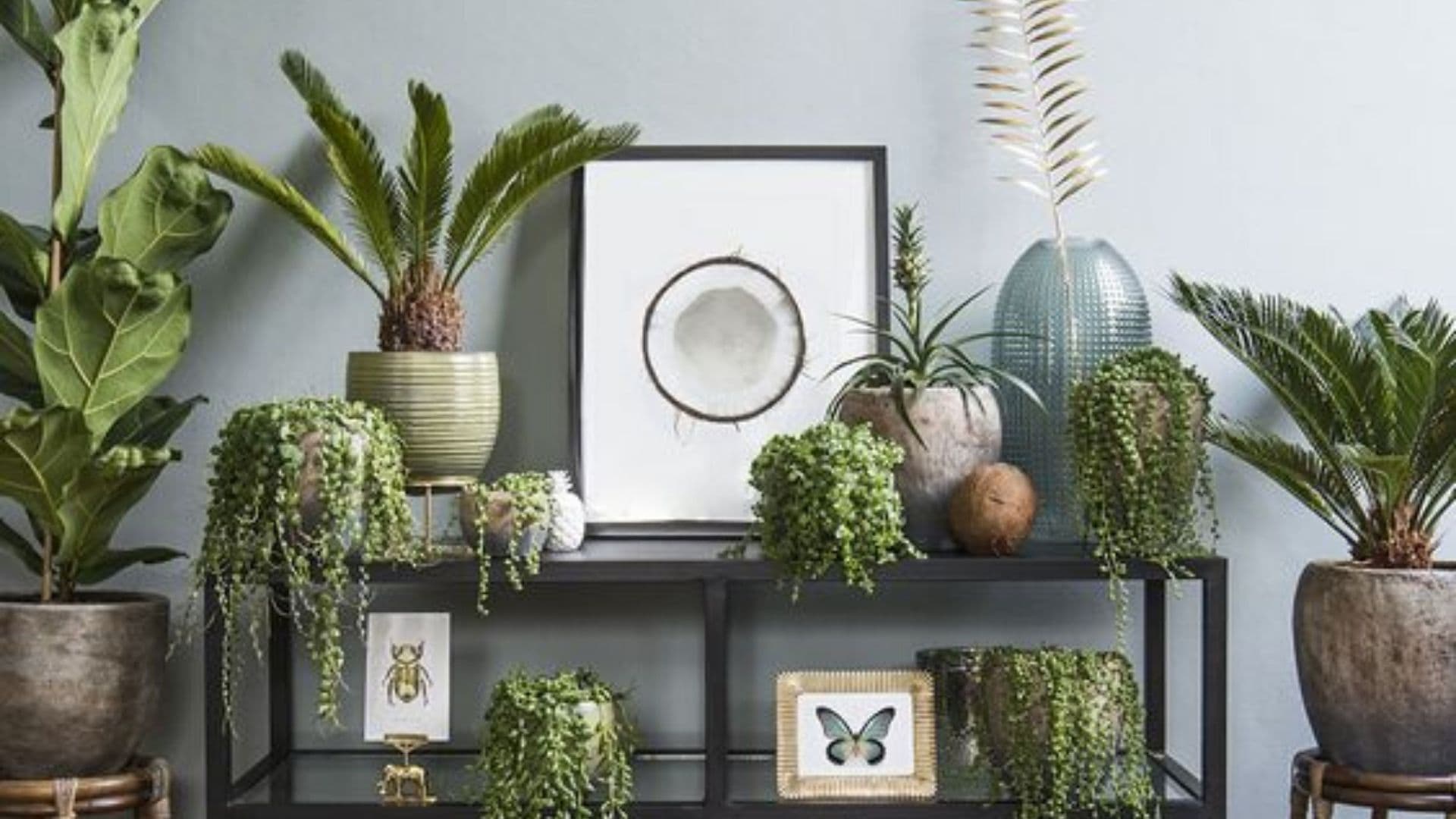 Botanische woonstijl!